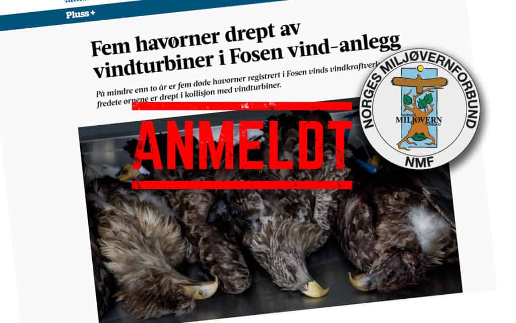 Norges Miljøvernforbund har anmeldt Fosen Vind for bevisforspillelse og tyveri av fredet rovfugl
