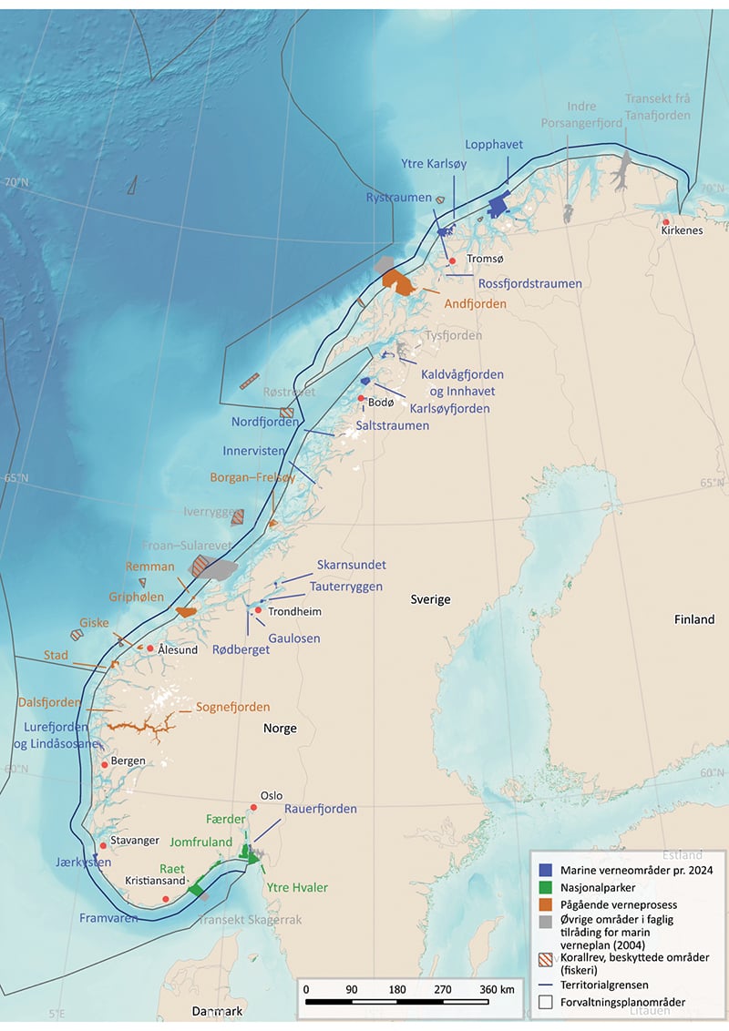 Miljøvernforbundet krever ekte marint vern: Norge må stanse 'juksevernet' av havet 15
