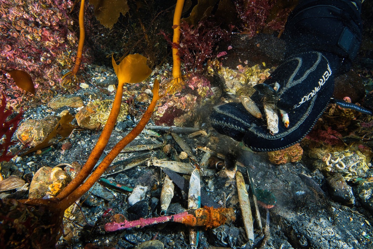 Saltstraumen og vernet som svikter et unikt økosystem 12