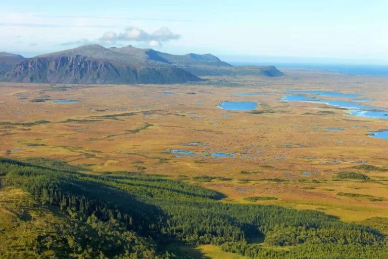 Andmyran i Nordland