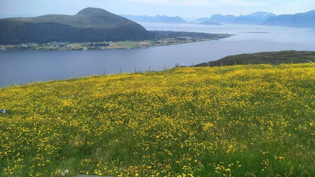 Stangeland Maskin AS ødelegger både Haramsøya og selskapets omdømme 3