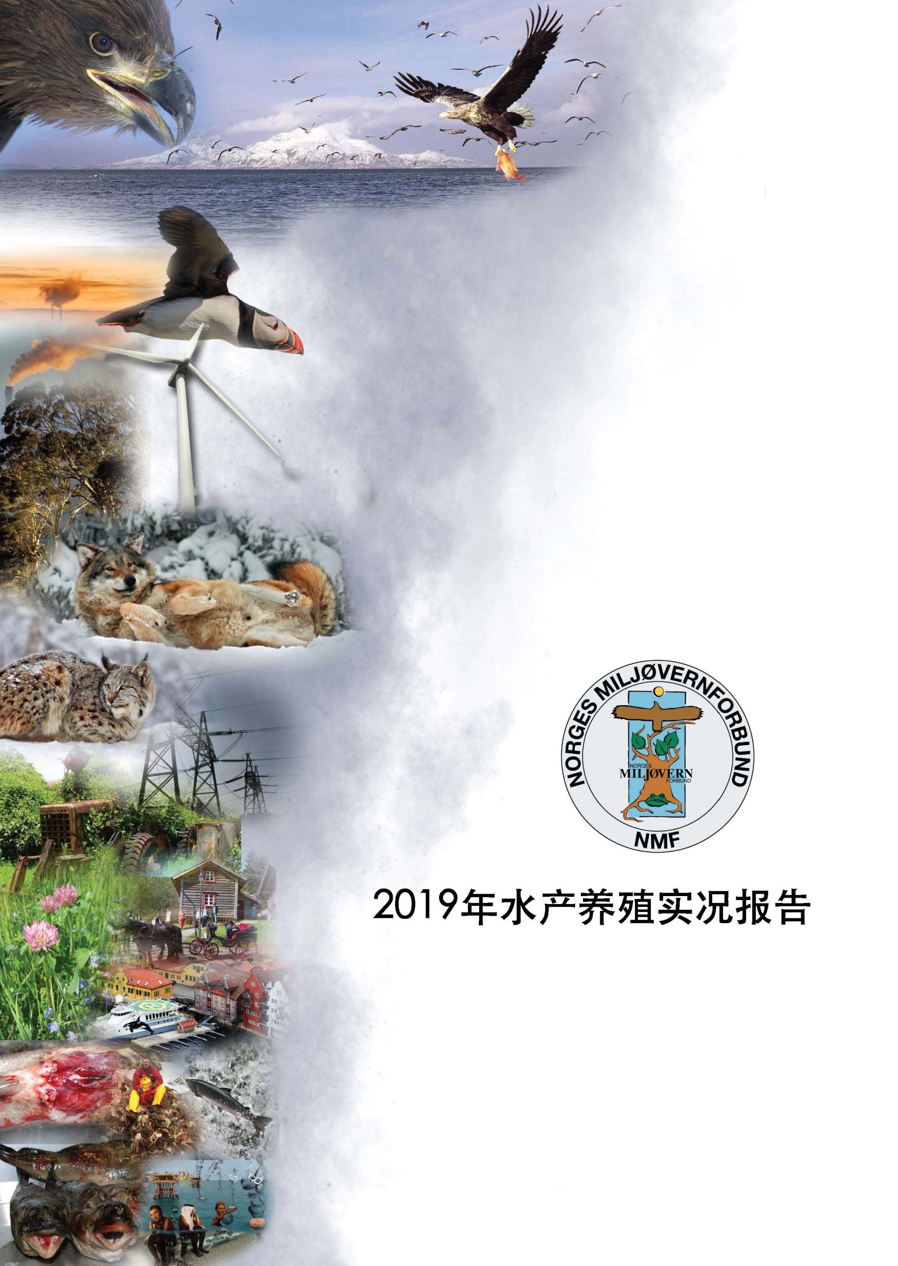 Lakseoppdrett - Kinesisk utgave 2019