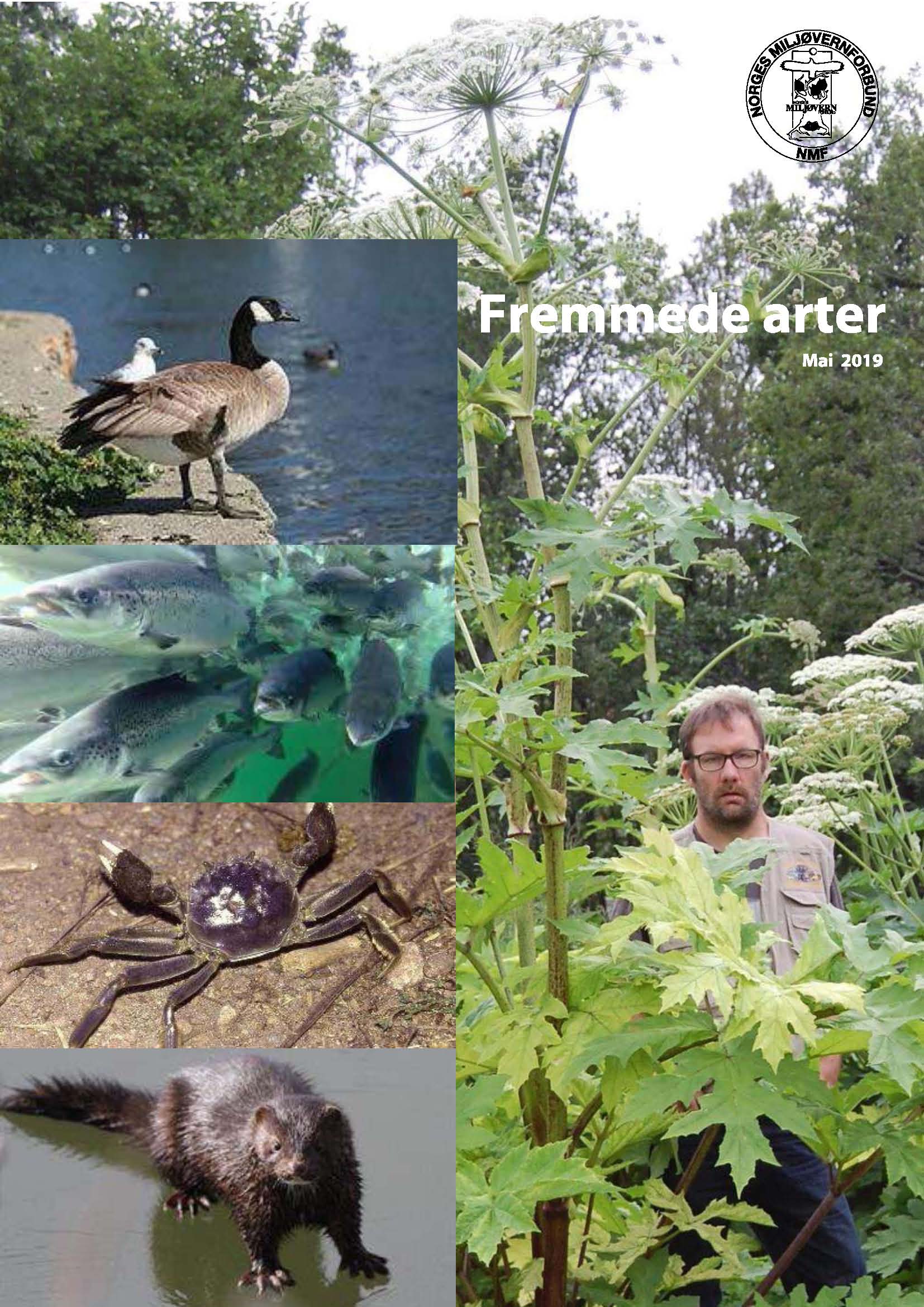 Fremmede arter - Miljømagaasin #2 2019