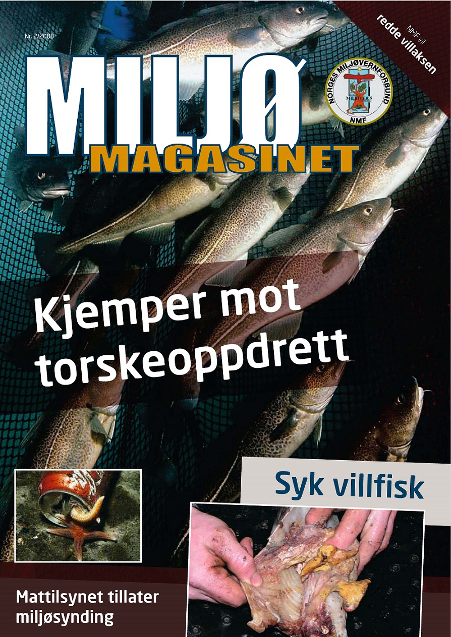 Torskeoppdrett
