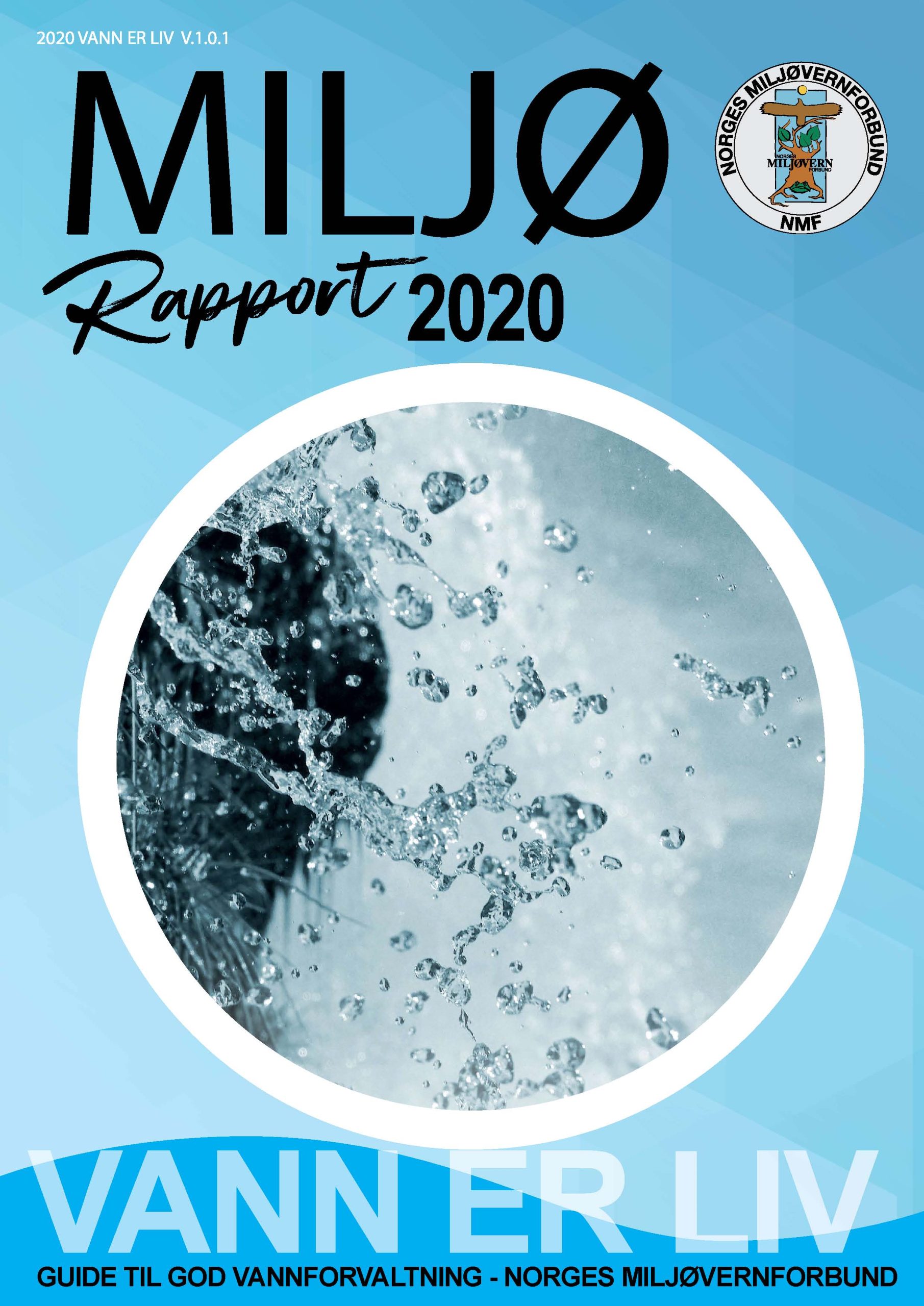 Vann er liv - Rapport 2020