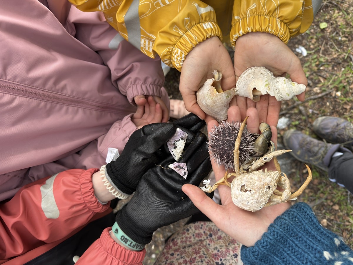  Ting elevene har funnet ute i naturen