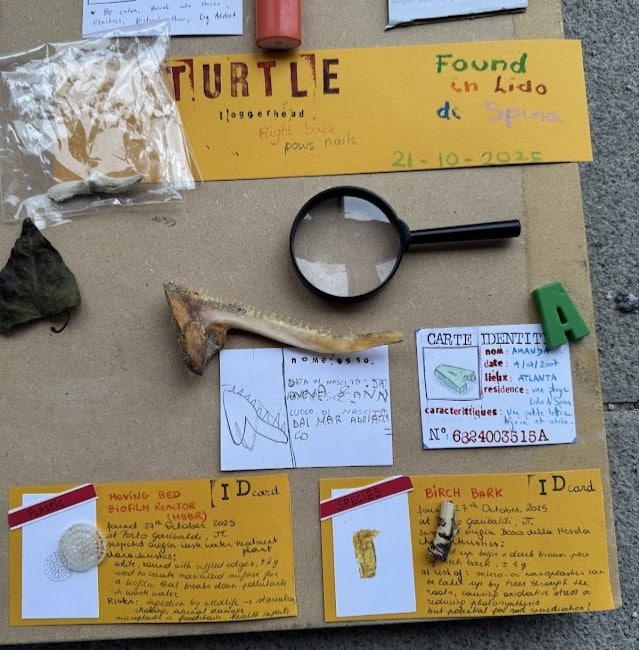  ID kort som barna har laget under natureskespillet