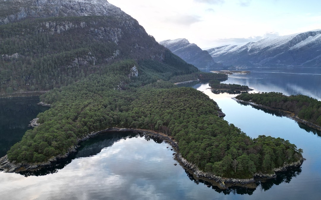 Dronefoto av Holmaneset