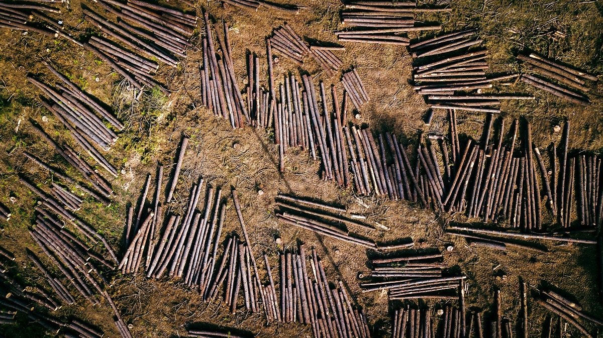 Nedbygging av natur og landarealer