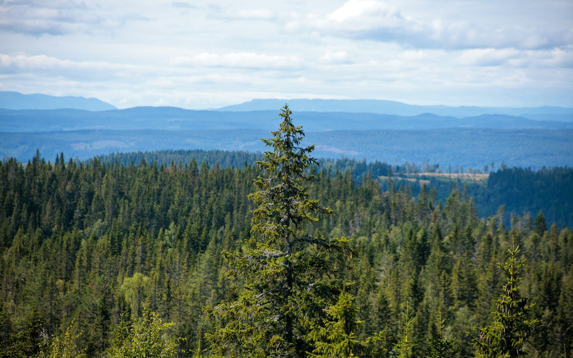 Norsk Natur